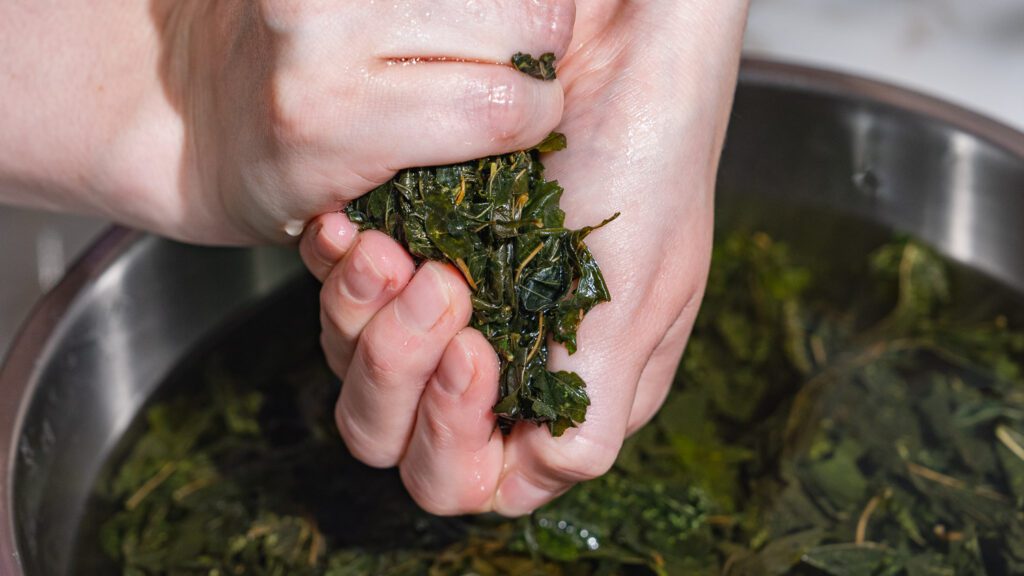 Les feuilles de mloukhia lavées sont pressées avec les mains.